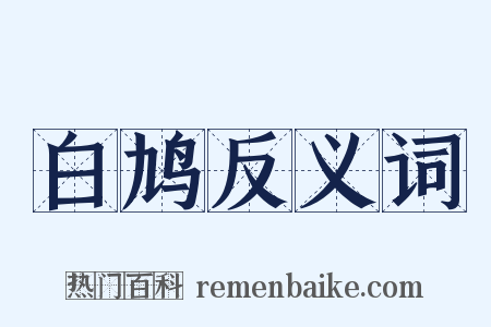 白鸠反义词是什么意思的图片